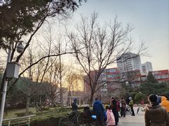 -双榆树公园