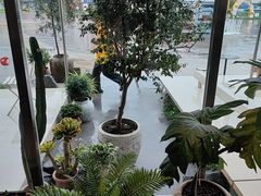 -喜茶(珠海华发商都店)