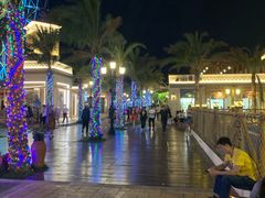 -三亚海昌梦幻海洋不夜城