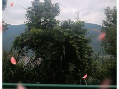 -怪潭漂流