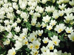 -长春公园(普阳街道)