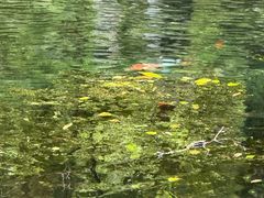 -诺水河