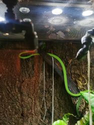 -酷嗒动物文化乐园(cutezoo西溪乐天城店)