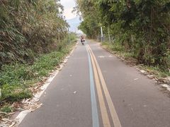 -王借岗森林公园