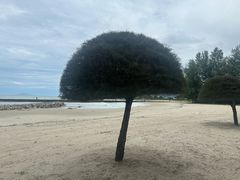 -真浪花园海鲜餐馆