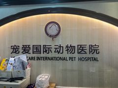 -宠爱国际动物医院·消化内科·心肾内科·ISFM猫友好(望京店)