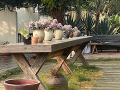-悦哉·派对·草坪婚礼·围炉煮茶(三圣乡店)