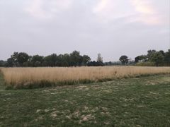 -汉长安城未央宫国家考古遗址公园