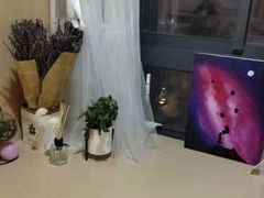 -Husky Go! 哈士奇体验馆·宠物咖啡厅狗咖