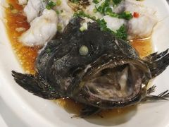 -红城阁·上海味道(四平路店)