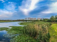 -鉴湖国家城市湿地公园