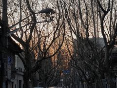-思南公馆