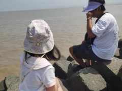 -南汇嘴观海公园