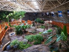 -中国第四纪冰川遗迹陈列馆