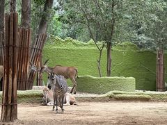 -北京野生动物园