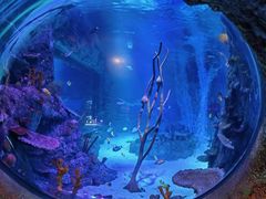 -沈阳海洋探索中心