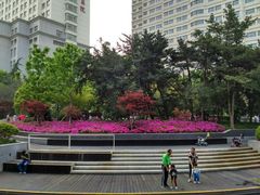 -兰溪青年公园