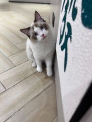 -隅日式美甲美睫專門店
