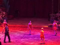 -俄罗斯国家大马戏团