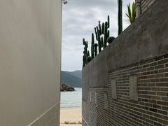 -后海村