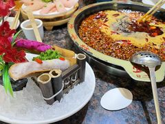 -一斗火锅·招财羊毛肚(上河城店)