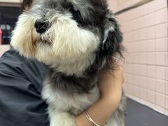 -FAELING PETS美天灵宠物(富力广场店)