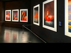 -罗红摄影艺术馆