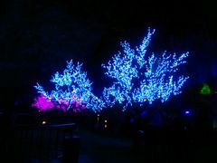 android_upload_pic-宝晶宫旅游景区
