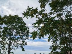 -北京金海湖景区