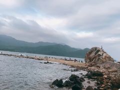 -西涌国际滨海旅游区