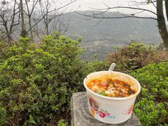 -铁山坪森林公园