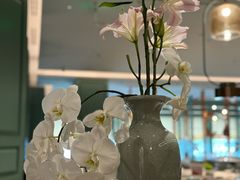 -南堂馆·新川菜(春熙路店)