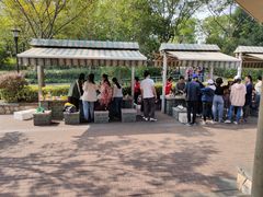 -吴淞炮台湾湿地森林公园烧烤区