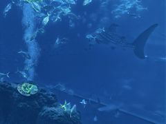 -成都浩海立方海洋公园