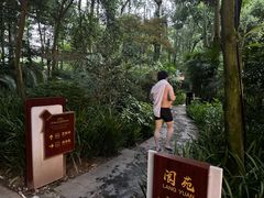 -青城道汤池