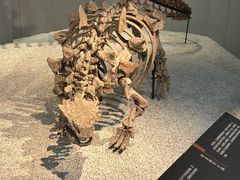 -浙江自然博物院(杭州馆)
