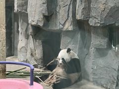 -栾川竹海野生动物园