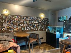 -抱暴龙爬宠·异宠·撸宠撸爬主题馆(大学路店)