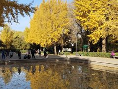 -玲珑塔公园
