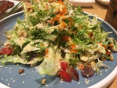 有机蔬菜沙拉-山之川日料放题(通州店)