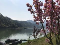 -新安江山水画廊风景区