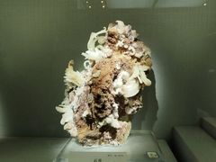 -湖南省地质博物馆