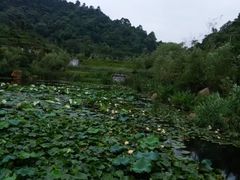 -桃花岭景区