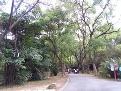 -华南国家植物园-售票处