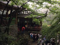 -藏龙百瀑风景区