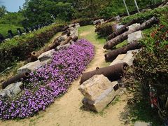 -胡里山炮台
