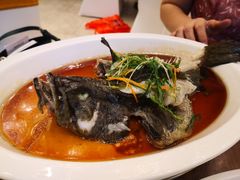 -皇马假日醉海南大酒店·假日一品派茶楼(秀英店)