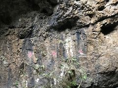 -百漈沟生态旅游景区
