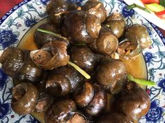 -生态苑农庄(十里画廊遇龙河店)