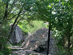 -阳台山自然风景区